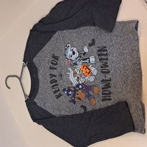 Paw Patrol Nickelodeon Boys Gray Halloween Long Sleeve T-Shirt - 4T